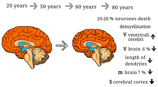 যৌনতা কি পছন্দ, নাকি প্রকৃতি? — সমকামিতার পেছনে বিজ্ঞান কী বলে